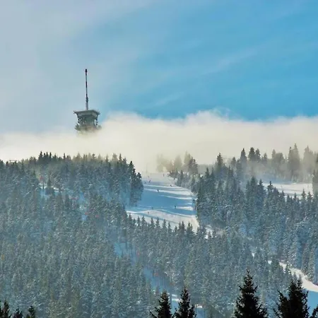 Near Klinovec Lift Alpehytte Loučná pod Klínovcem