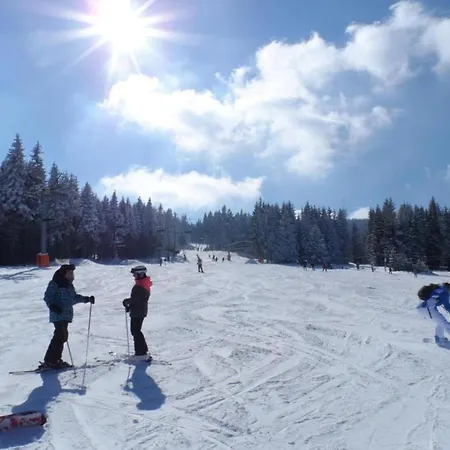 Alpehytte Near Klinovec Lift