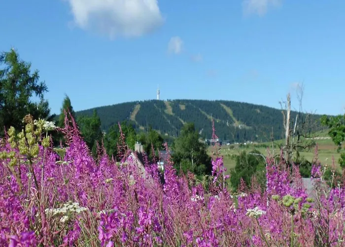 Near Klinovec Lift * Loucna pod Klinovcem